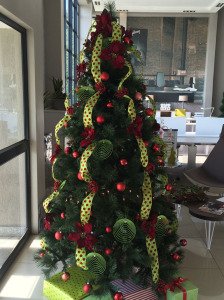 blooming-beautiful-flowers-christmas-rentals-flowers-trees-offices-homes-boardroom