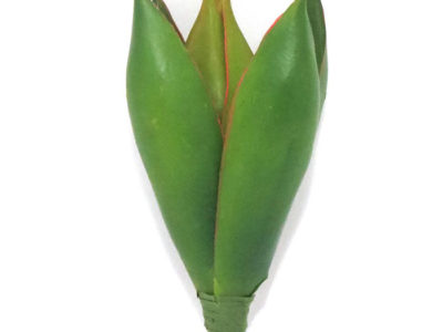 Realistic looking artificial succulent plant for sale and bulk purchase online - yucca agave bulb