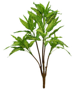 Alglonema fake artificial silk house plant for use in office and plantscaping.