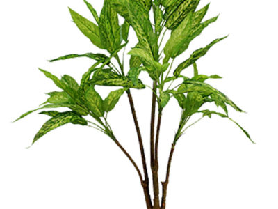 Alglonema fake artificial silk house plant for use in office and plantscaping.