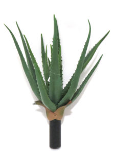 Realistic looking artificial succulent plant for sale and bulk purchase online - aloe
