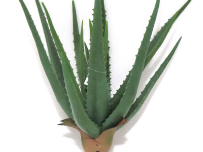 Realistic looking artificial succulent plant for sale and bulk purchase online - aloe
