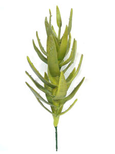 Realistic looking artificial succulent plant for sale and bulk purchase online - aloe