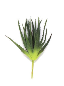 Realistic looking artificial succulent plant for sale and bulk purchase online - alow small
