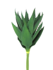 Realistic looking artificial succulent plant for sale and bulk purchase online - aloe succulent pick