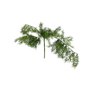 Realistic looking artificial hanging plant used in offices, home and plantscaping for sale and bulk purchase online - asparagus fern