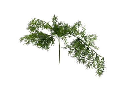Realistic looking artificial hanging plant used in offices, home and plantscaping for sale and bulk purchase online - asparagus fern