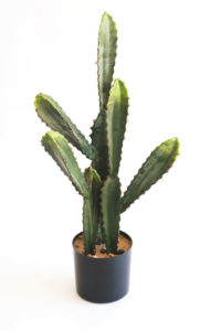 Realistic looking artificial succulent cactus for sale and bulk purchase online - cactus
