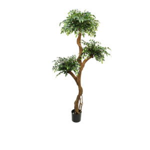 Realistic looking artificial fake tree used in offices, home and plantscaping - crazy ficus