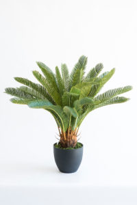 Realistic looking artificial fake tree used in offices, home and plantscaping for sale and bulk purchase online - cycas