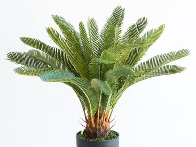 Realistic looking artificial fake tree used in offices, home and plantscaping for sale and bulk purchase online - cycas