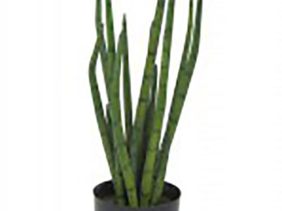 Realistic looking artificial succulent plant for sale and bulk purchase online - elephant toothpick