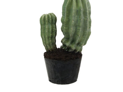 Realistic looking artificial succulent cactus for sale and bulk purchase online - cactus