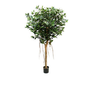 Realistic looking artificial fake tree used in offices, home and plantscaping for sale and bulk purchase online - ficus