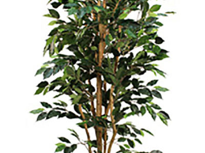 Realistic looking artificial fake tree used in offices, home and plantscaping for sale and bulk purchase online - ficus