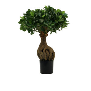 Realistic looking artificial fake tree used in offices, home and plantscaping for sale and bulk purchase online - bonsai ficus