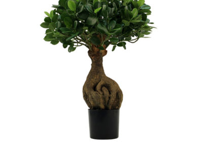 Realistic looking artificial fake tree used in offices, home and plantscaping for sale and bulk purchase online - bonsai ficus