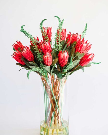 FLAME PROTEA IN GLASS VASE