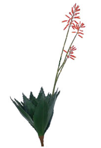 Realistic looking artificial succulent plant for sale and bulk purchase online - FLOWERING-ALOE-NO-POT