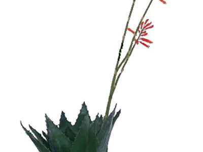 Realistic looking artificial succulent plant for sale and bulk purchase online - FLOWERING-ALOE-NO-POT