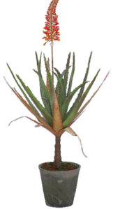 Realistic looking artificial succulent plant for sale and bulk purchase online - FLOWERING-ALOE-in-cement-pot