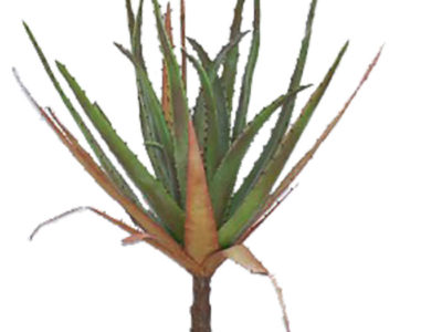 Realistic looking artificial succulent plant for sale and bulk purchase online - FLOWERING-ALOE-in-cement-pot