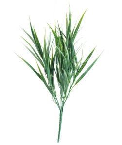 Realistic looking artificial grasses used in offices, home and plantscaping for sale and bulk purchase online