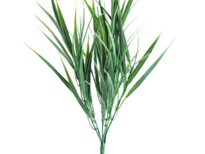 Realistic looking artificial grasses used in offices, home and plantscaping for sale and bulk purchase online