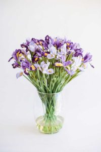 IRIS ARRANGEMENT IN GLASS VASE