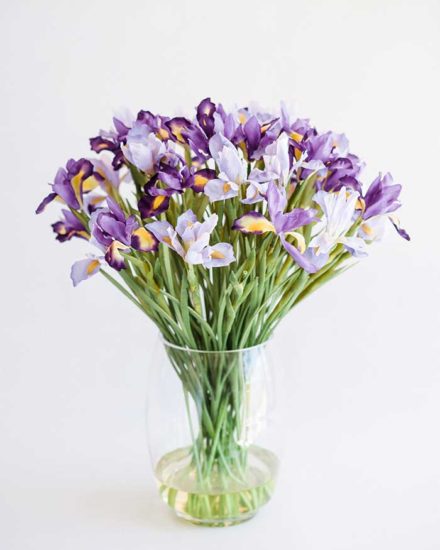 IRIS ARRANGEMENT IN GLASS VASE