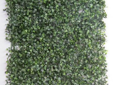 Realistic looking matting used in offices, home and plantscaping - boxwood