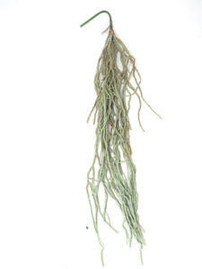 Realistic looking artificial hanging plant used in offices, home and plantscaping for sale and bulk purchase online - ORCHIDS-ROOTS