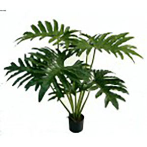 Realistic looking artificial fake tree used in offices, home and plantscaping for sale and bulk purchase online - philodendron