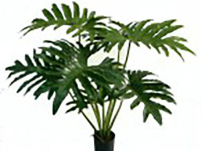 Realistic looking artificial fake tree used in offices, home and plantscaping for sale and bulk purchase online - philodendron