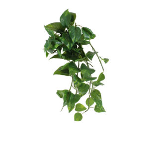 Realistic looking artificial fake tree used in offices, home and plantscaping for sale and bulk purchase online - SCANDAPSUS