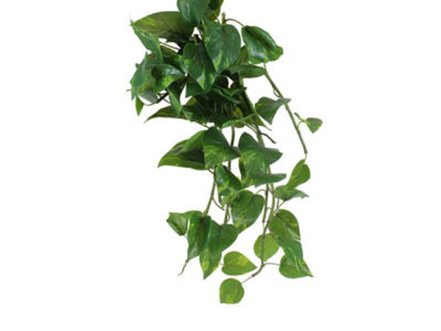 Realistic looking artificial fake tree used in offices, home and plantscaping for sale and bulk purchase online - SCANDAPSUS