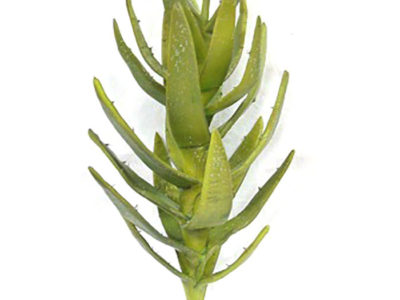 Realistic looking artificial succulent plant for sale and bulk purchase online - tall aloe