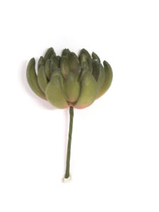 Realistic looking artificial succulent plant for sale and bulk purchase online - tequila sheila