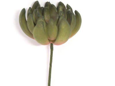 Realistic looking artificial succulent plant for sale and bulk purchase online - tequila sheila