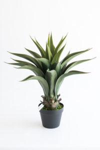 Realistic looking artificial fake tree used in offices, home and plantscaping for sale and bulk purchase online - AGAVE