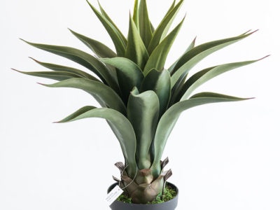 Realistic looking artificial fake tree used in offices, home and plantscaping for sale and bulk purchase online - AGAVE