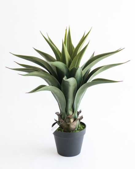 Realistic looking artificial fake tree used in offices, home and plantscaping for sale and bulk purchase online - AGAVE
