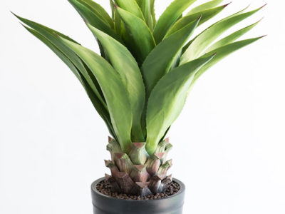 Realistic looking artificial fake tree used in offices, home and plantscaping for sale and bulk purchase online - AGAVE