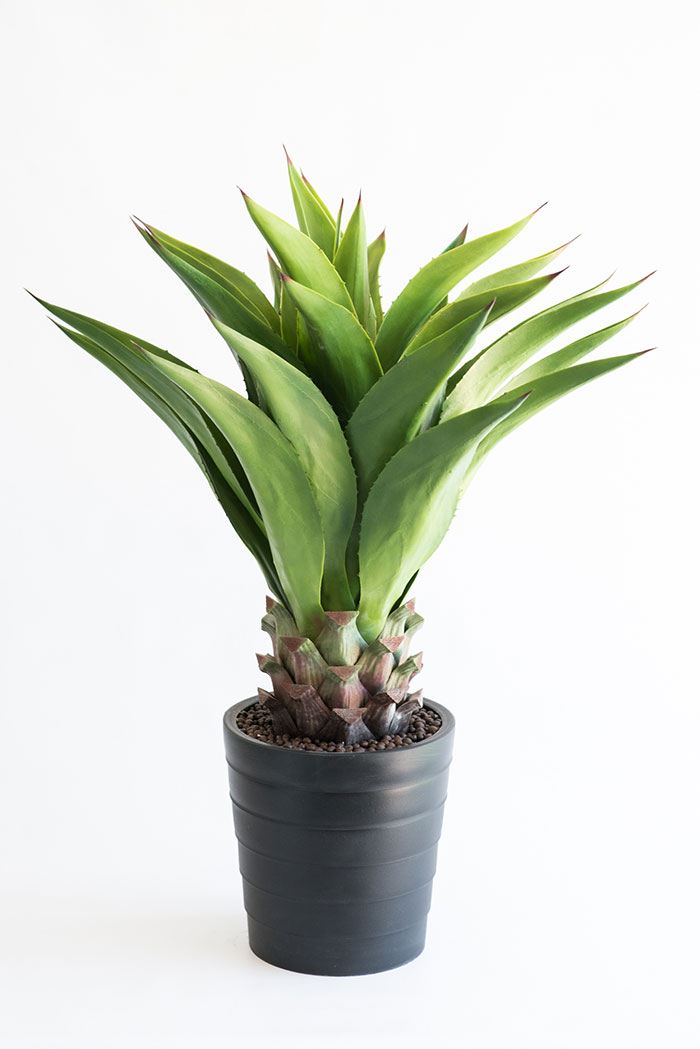 Realistic looking artificial fake tree used in offices, home and plantscaping for sale and bulk purchase online - AGAVE