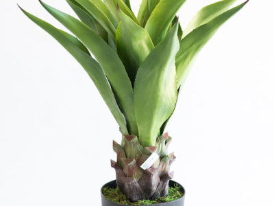 Realistic looking artificial fake tree used in offices, home and plantscaping for sale and bulk purchase online - AGAVE