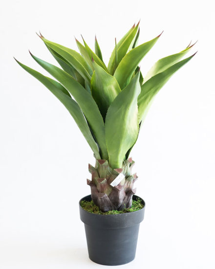 Realistic looking artificial fake tree used in offices, home and plantscaping for sale and bulk purchase online - AGAVE