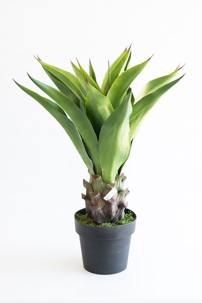Realistic looking artificial fake tree used in offices, home and plantscaping for sale and bulk purchase online - AGAVE