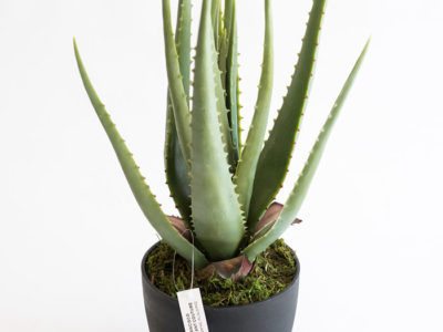 Realistic looking artificial fake tree used in offices, home and plantscaping for sale and bulk purchase online - ALOE