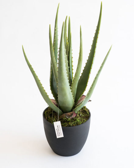 Realistic looking artificial fake tree used in offices, home and plantscaping for sale and bulk purchase online - ALOE