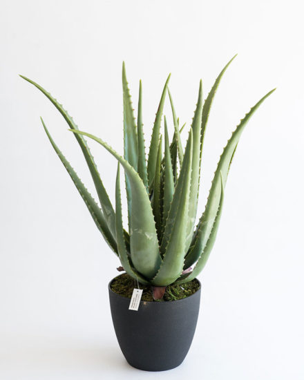Realistic looking artificial fake tree used in offices, home and plantscaping for sale and bulk purchase online - ALOE